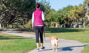 10 Amazing Benefits of Walking Daily