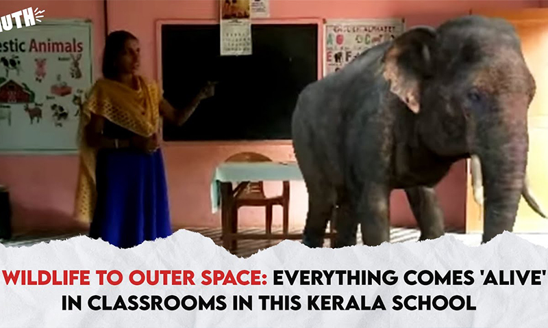Virtual Elephant in a Kindergarten Online Class!