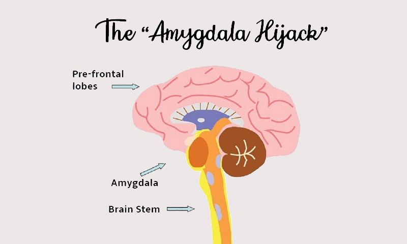Taming an Amygdala Hijack