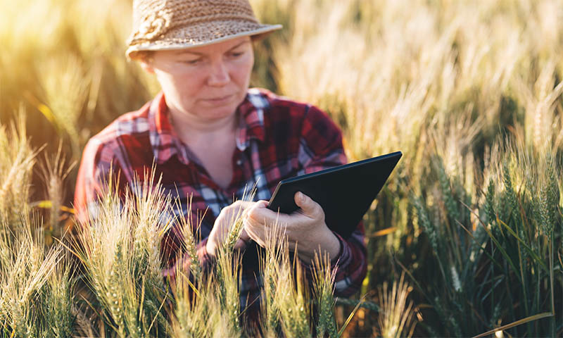 Agriculture Technology Tools That are the Future of Farming