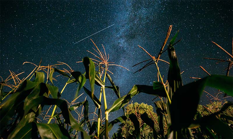 The annual Perseids Meteor Showers are Back Again- Skywatchers Gear Up!
